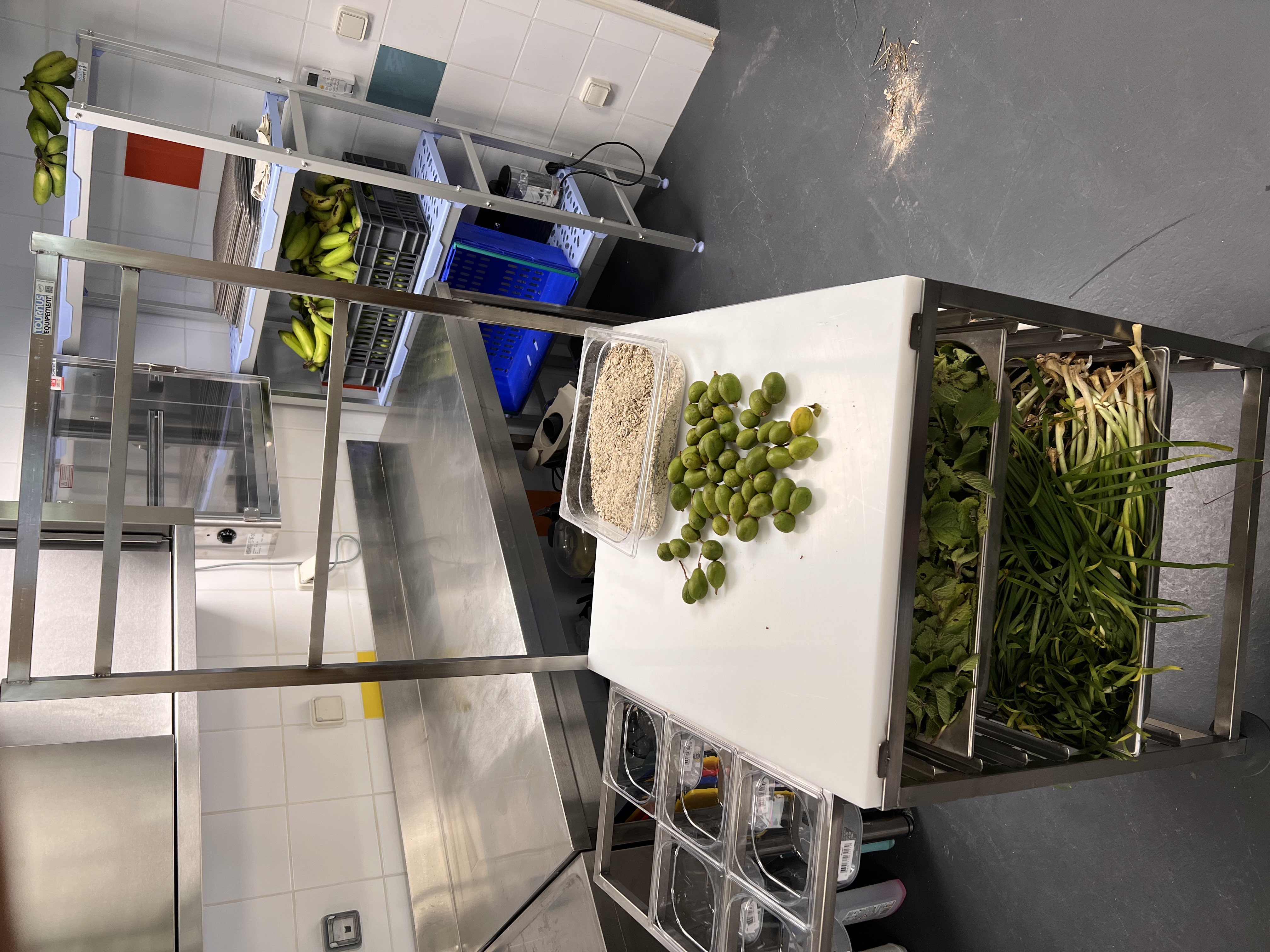 Preparation de vegetaux dans le laboratoire